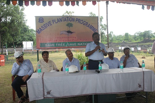 Plantation Programme